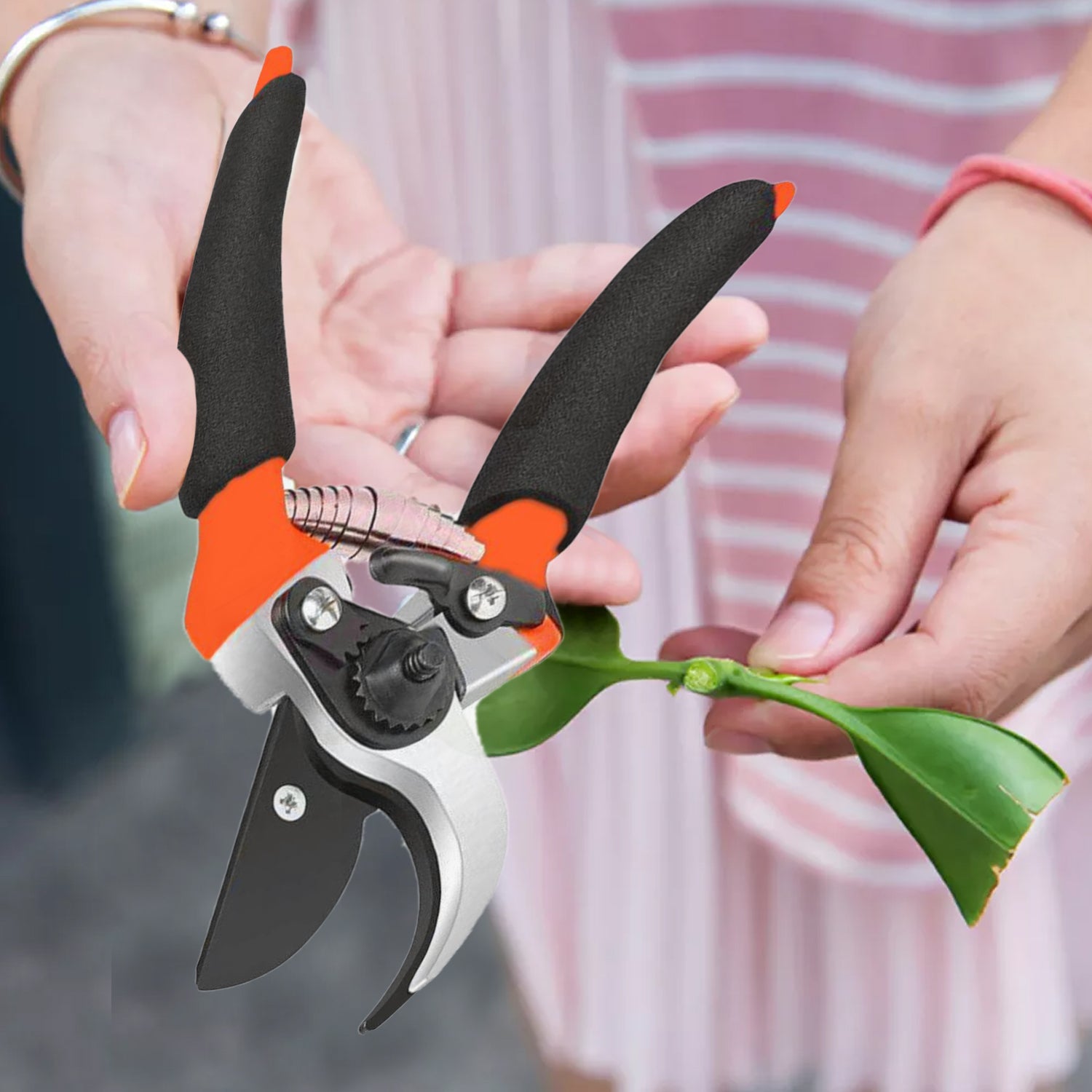 0479 Garden Shears Sharp Cutter Pruners Scissor, Pruner DeoDap