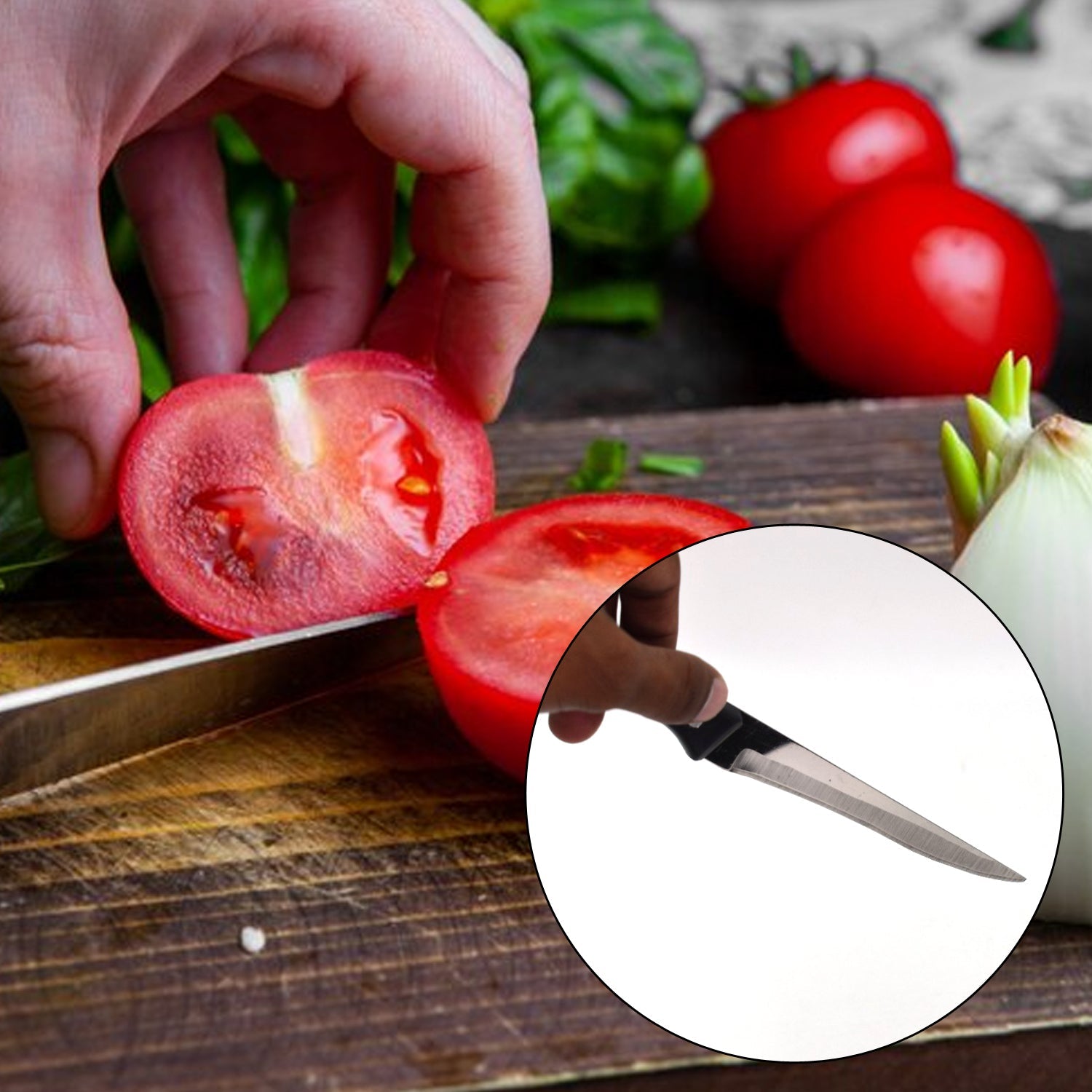 2869 Stainless Steel Kitchen Floret|Glare kitchen compact knife set DeoDap