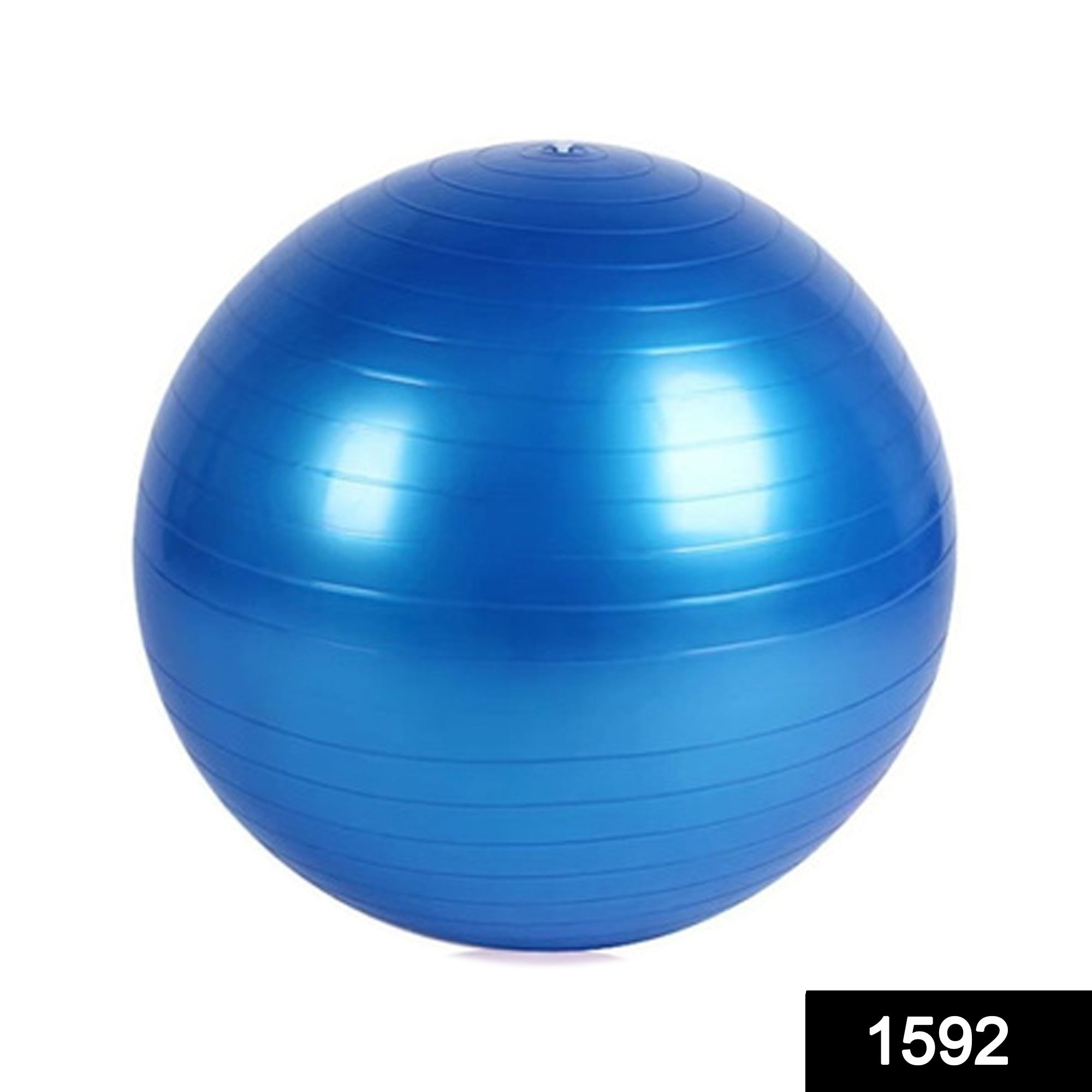 1592 Anti-Burst Exercise Heavy Duty Gym Ball (Multicolour) (75Cm) (No Box & No Pump) DeoDap