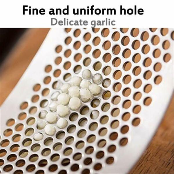 2281 Stainless Steel Garlic Presser /Crusher (Multicolour) freeshipping - DeoDap