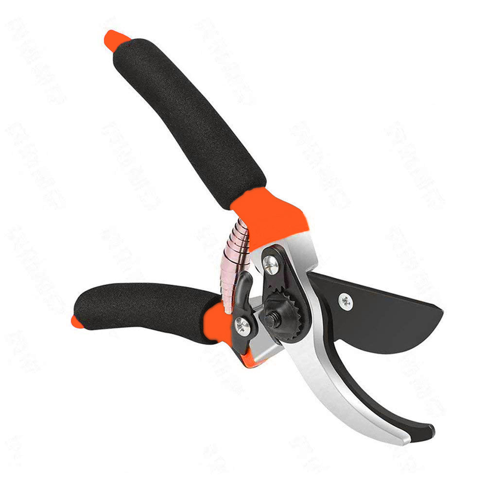 0479 Garden Shears Sharp Cutter Pruners Scissor, Pruner DeoDap