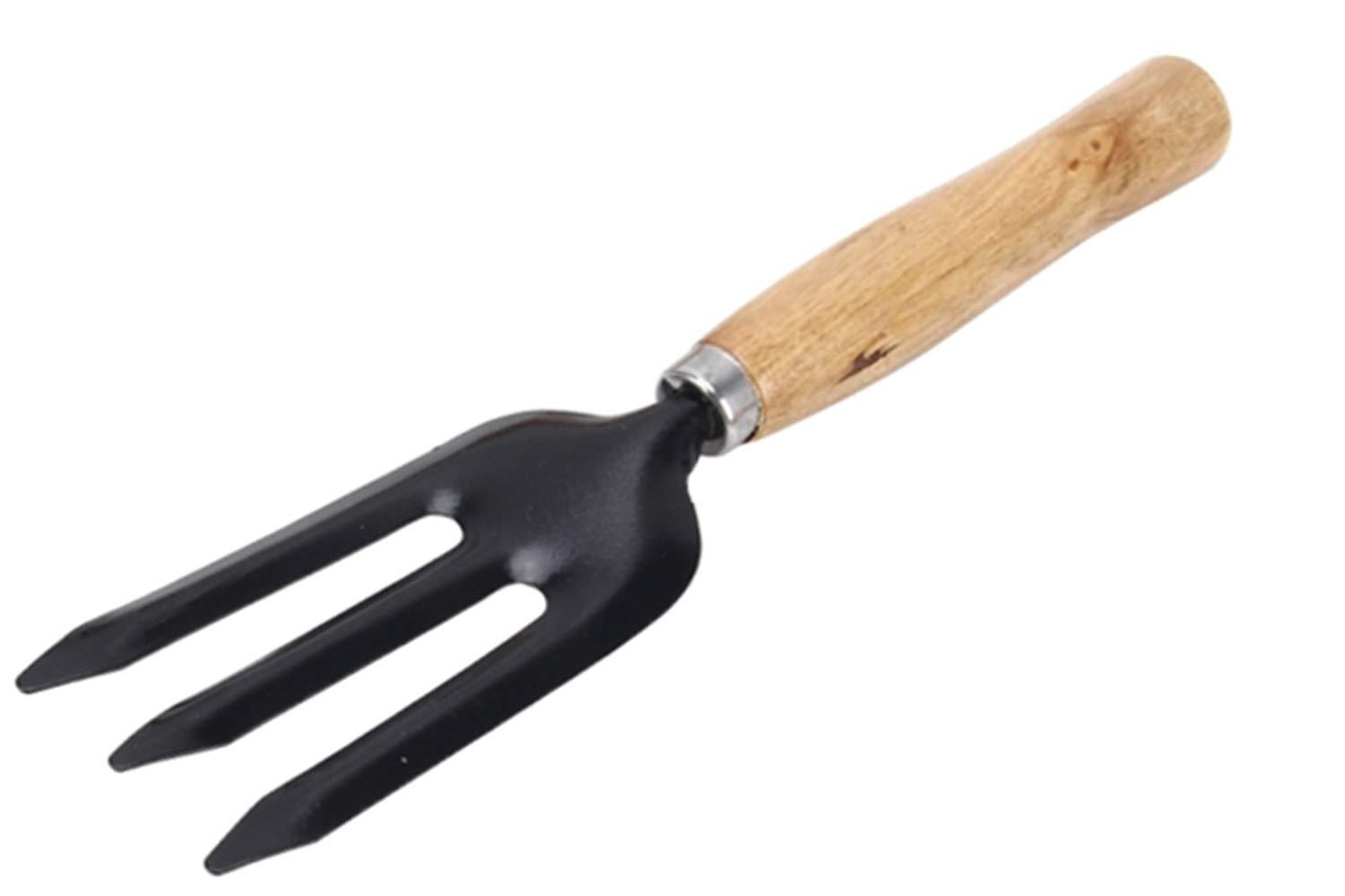 0475 Hand Weeding Fork (Steel, Black) DeoDap