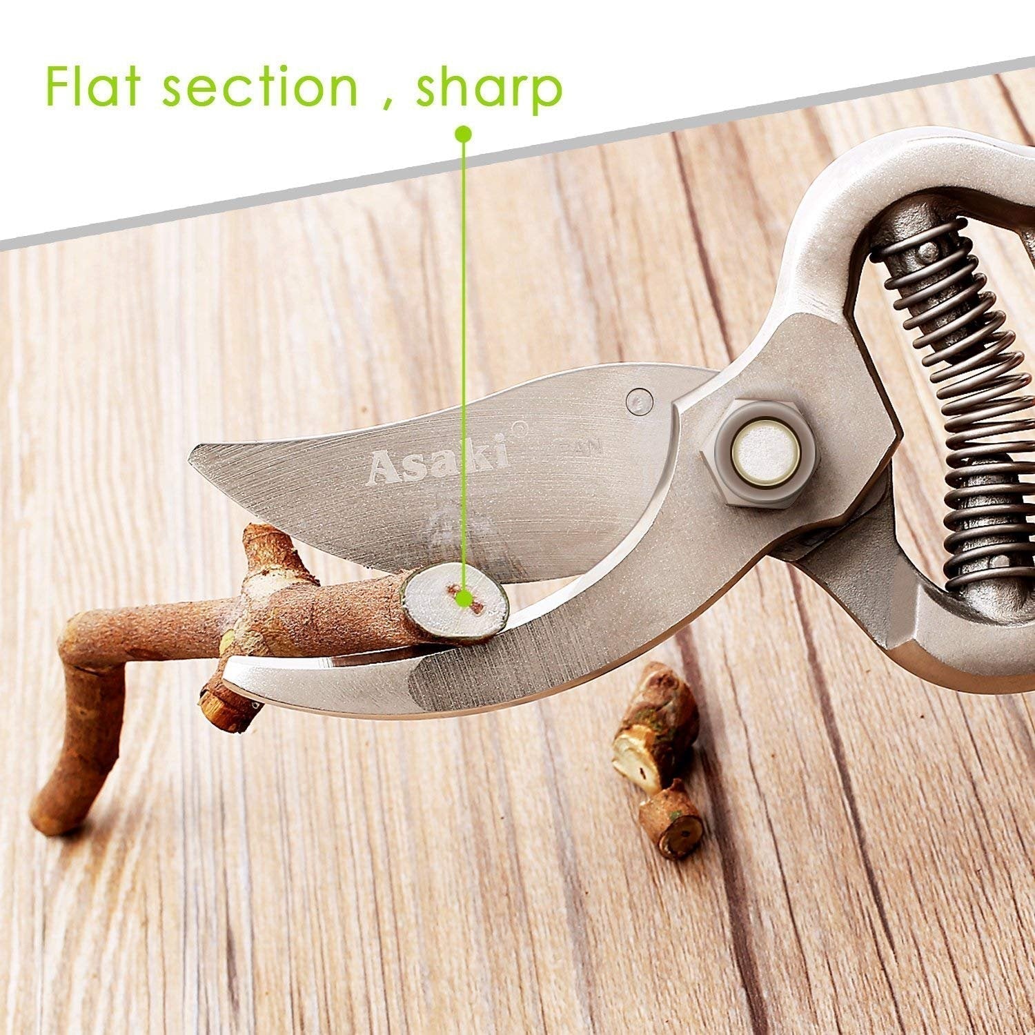 0466 Garden Shears Pruners Scissor (8 inch) DeoDap