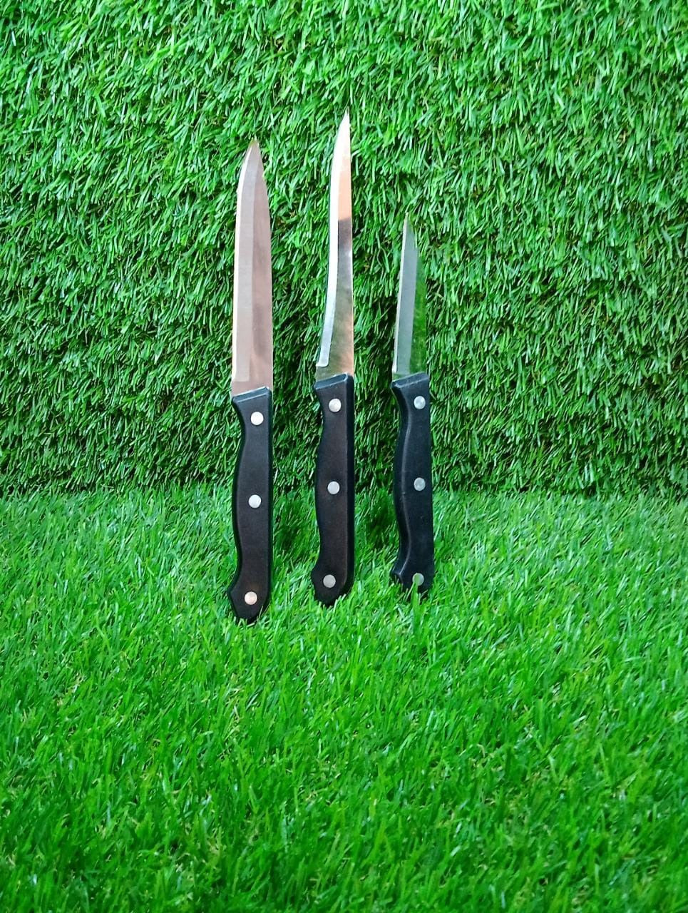 2869 Stainless Steel Kitchen Floret|Glare kitchen compact knife set DeoDap